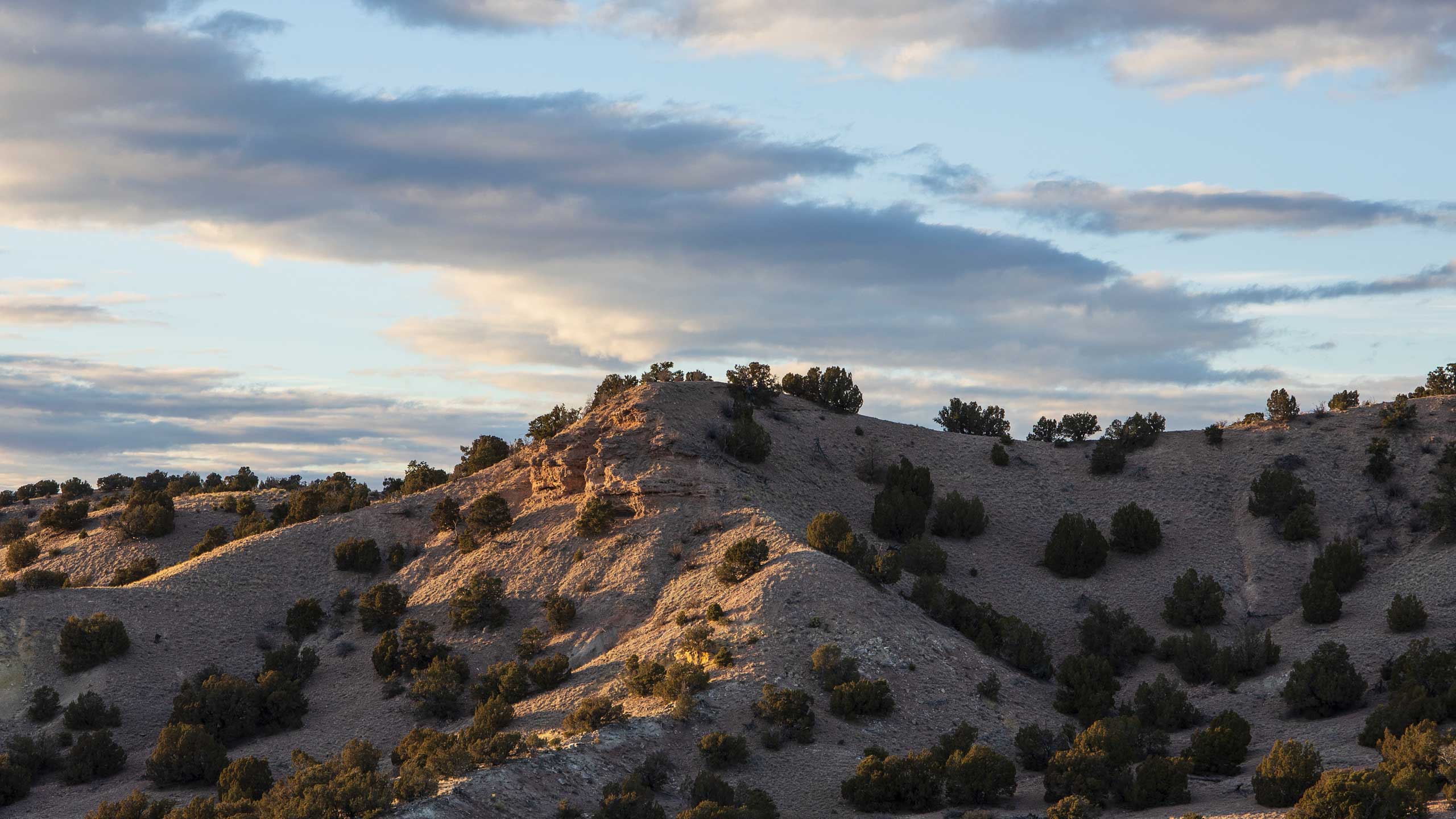 Western Desert, Santa Fe, NM